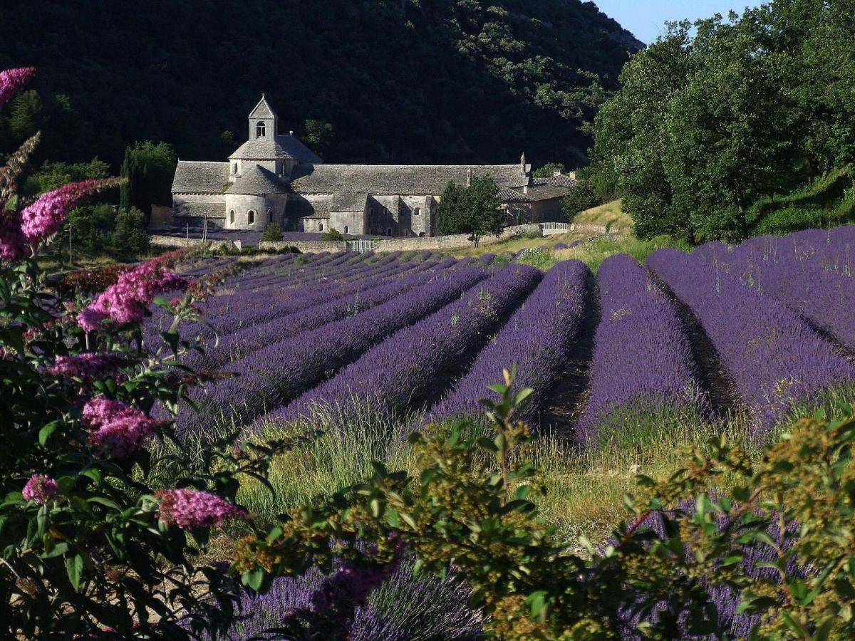 Bed and Breakfast Les Cerises à Saint-Saturnin-lès-Apt Extérieur photo